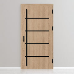 Улазна врата BIENE 2